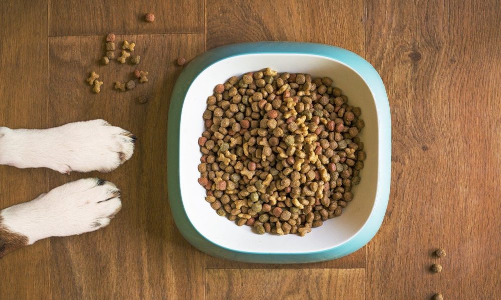 The Cheapest Places to Buy Blue Buffalo Dog Food Online Thrifty Two