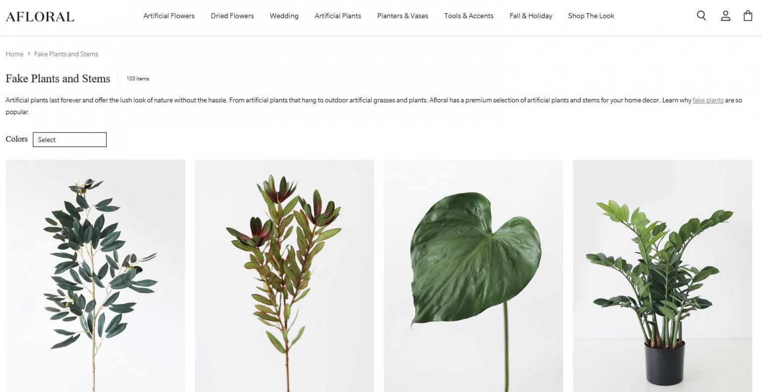 The Cheapest Places to Buy Plants Online Thrifty Two