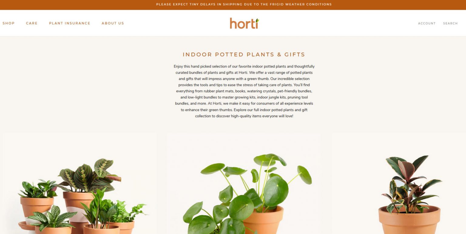 The Cheapest Places to Buy Plants Online Thrifty Two